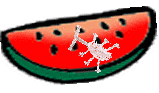 ê₢킹͂NbNĂˁ